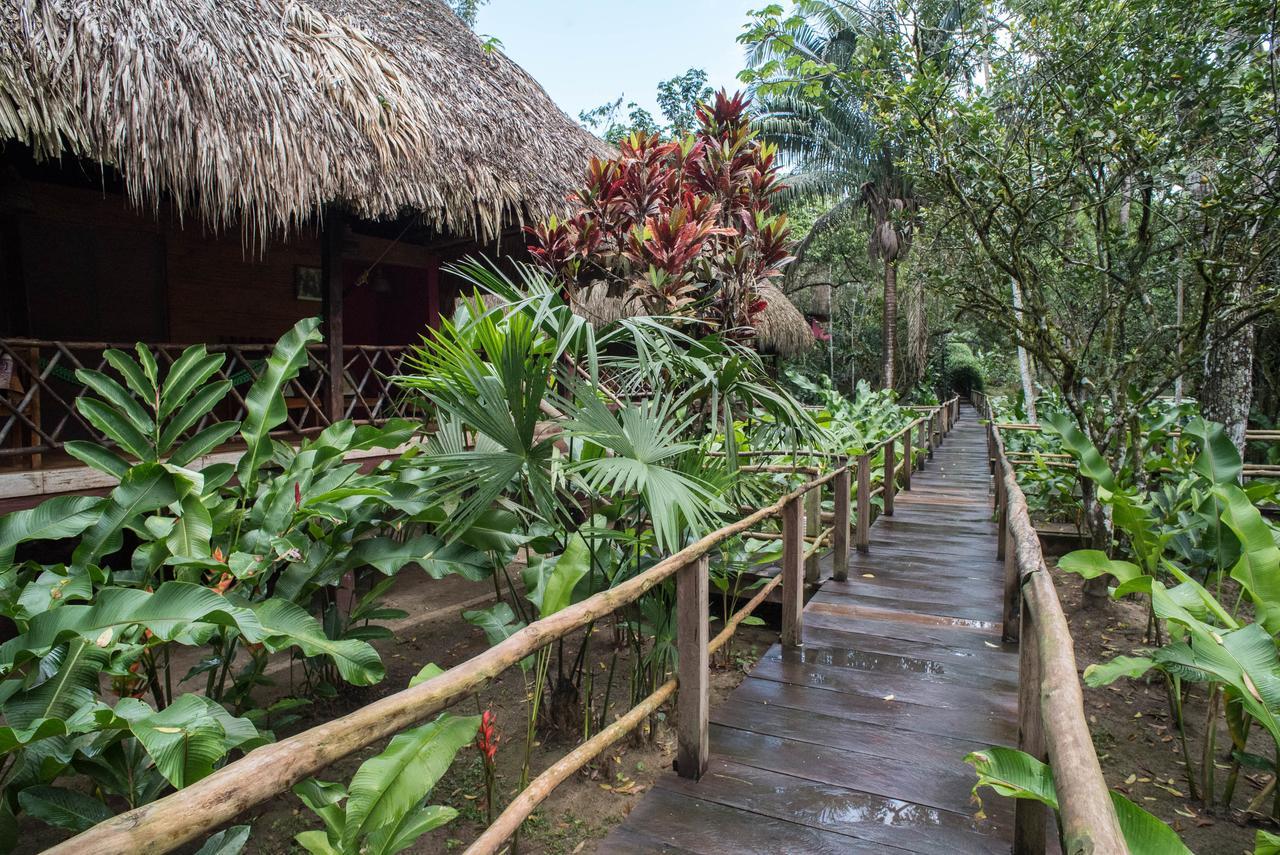 Las Guacamayas Lodge Resort, Selva Lacandona, Chiapas Mexico Tlatizapan Exterior photo